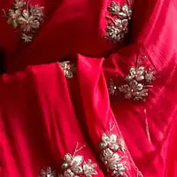 Scarlet Red Crepe Saree - Master