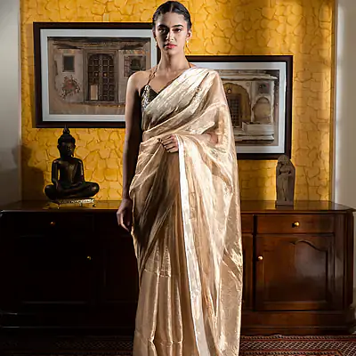 Sheer Gold Tissue Saree - Master