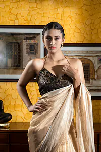 Sheer Gold Tissue Saree - Master