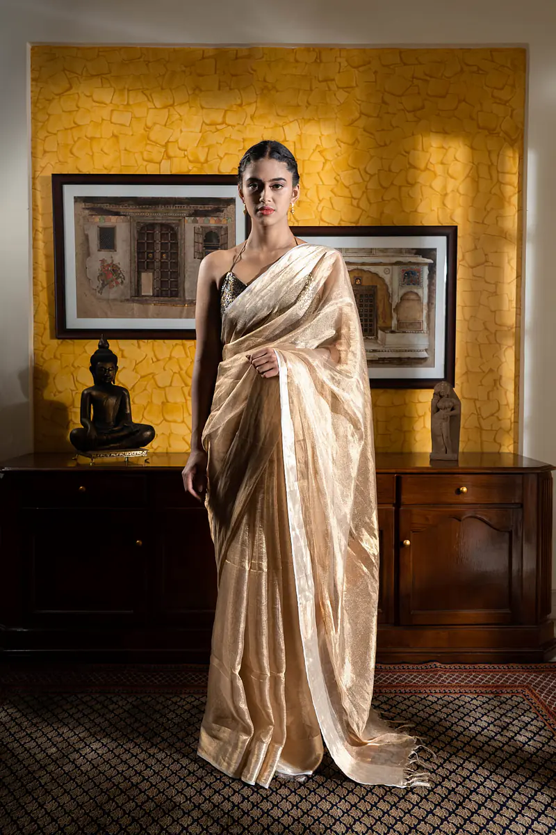 Sheer Gold Tissue Saree - Master
