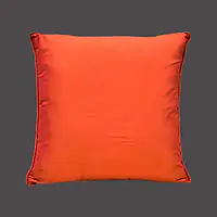 Silk Cushion Cover - Master
